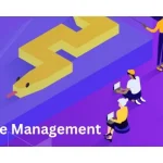 Mastering Static File Management in Python